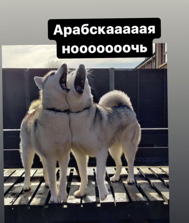 Бредзона 23.04.20