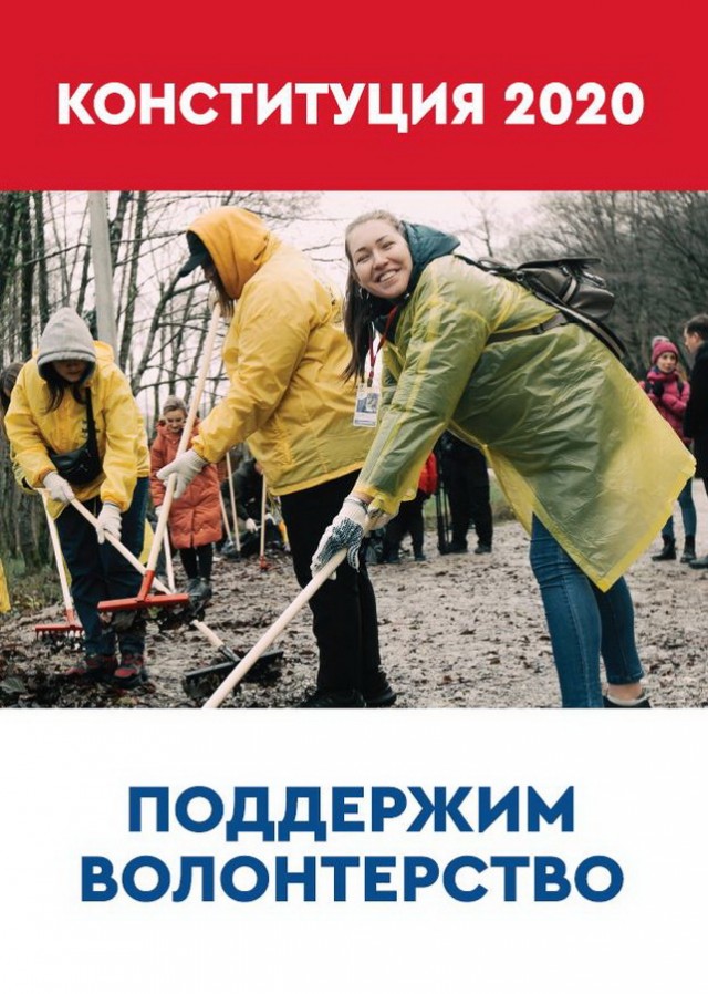 Волонтёров Конституции кинули на деньги