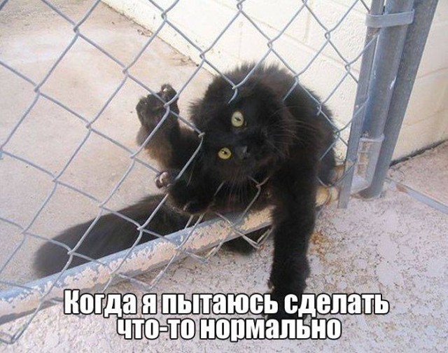 Картинки с надписями и всякие жизненные фразы