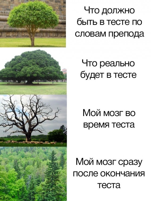 Весёлый полтишок 1.03