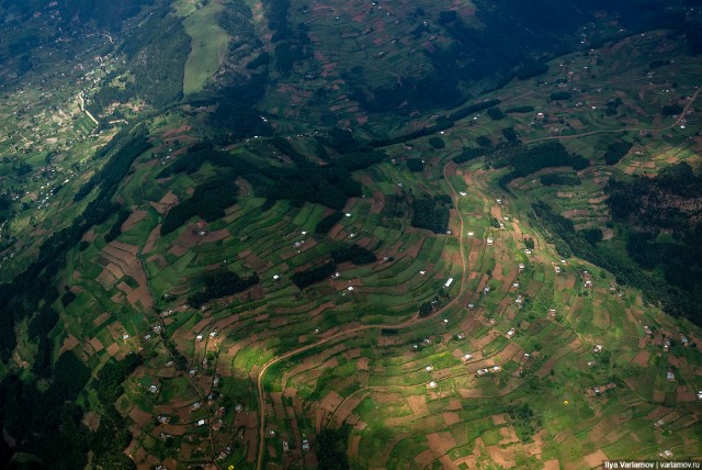 Уганда: самая настоящая Африка с гориллами и носорогами!