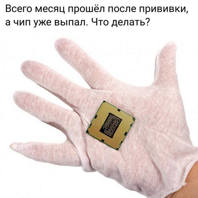 Весёлый полтишок 12.04