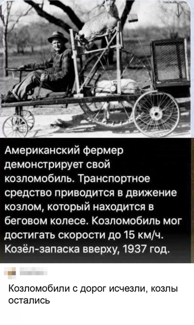 15457600.jpg