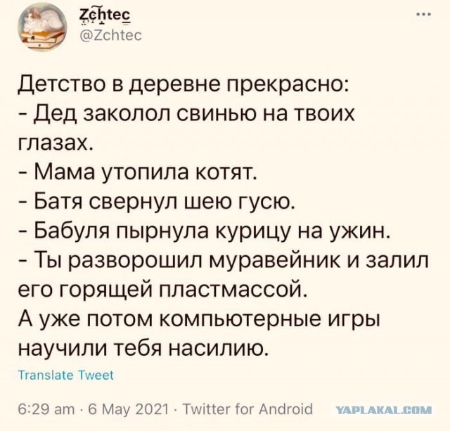 В СФ призвали ужесточить контроль за видеоиграми после стрельбы в Казани