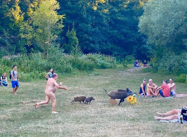 Картинки и мемы для настроения 28.07.2021