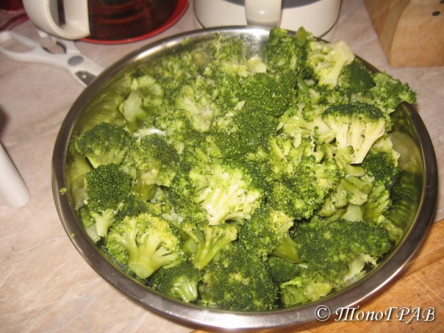 International одной книги., В память о Дженибеке.