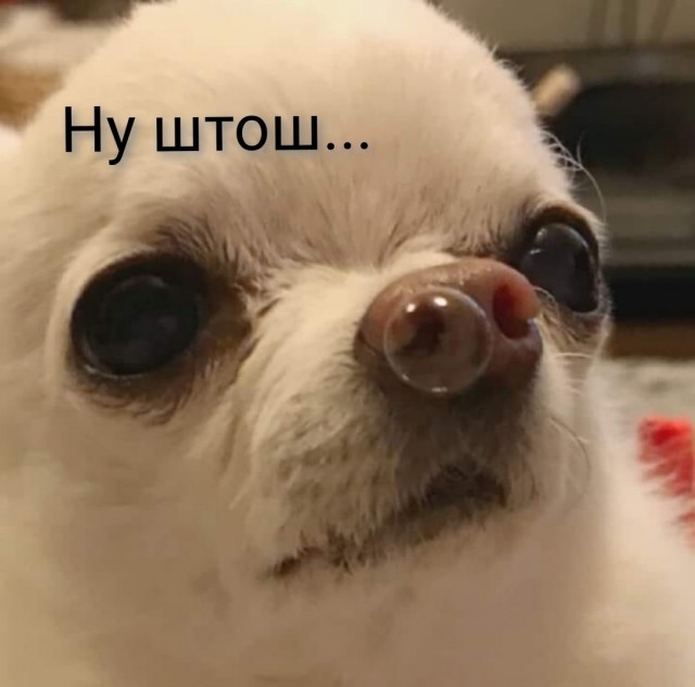 Новые санкции подъехали