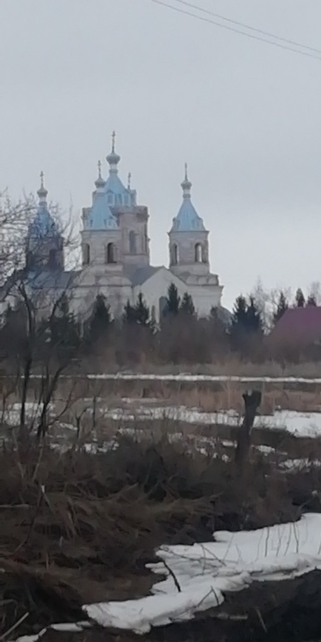 Фотки с телефона.