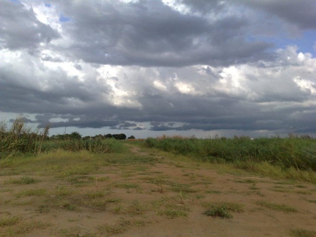 Yes! It's Africa