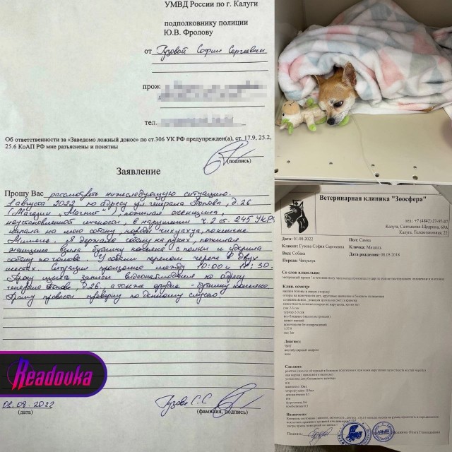 Пенсионерка ударила собаку по голове