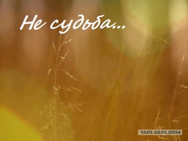 Закрыл сезон рыбалки по жидкой воде