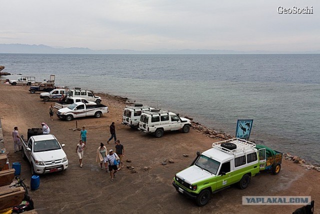 Синайские приключения. Шарм-эш-Шейх и окресности