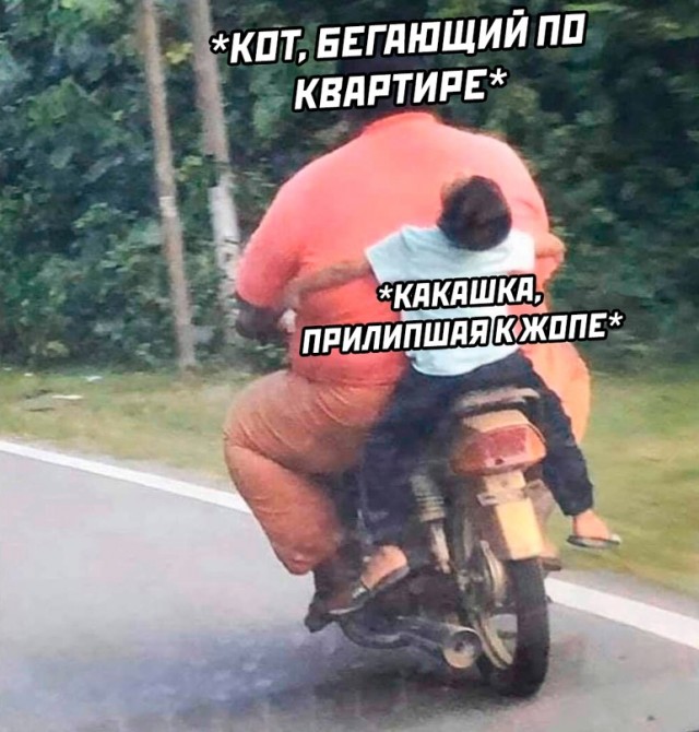 Весёлый полтишок 07.01.23