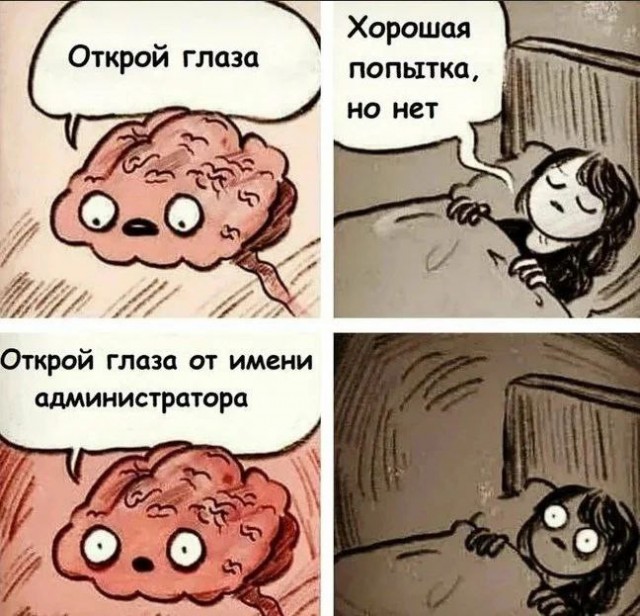 Так себе картинки 08.04.23