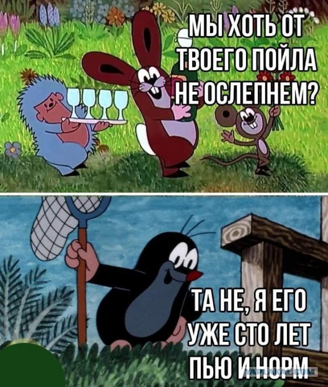 Самый качественный алкоголь, который вы пили?