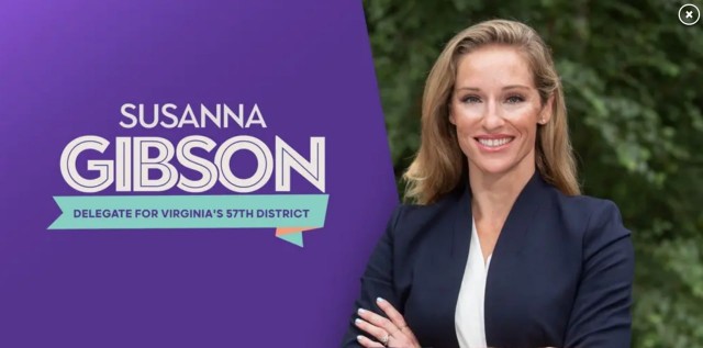 Кандидат от Демократической партии из Вирджинии оказалась вебкамщицей