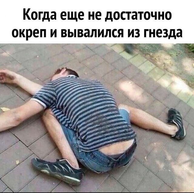 Всего понемногу. От 09.10.23