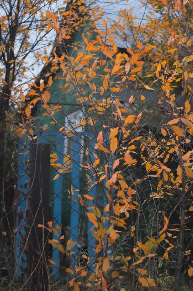 Осень в СНТ
