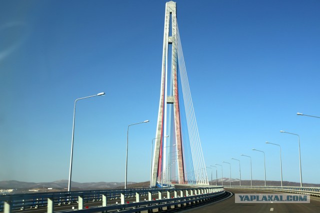 Кампус ДВФУ изнутри