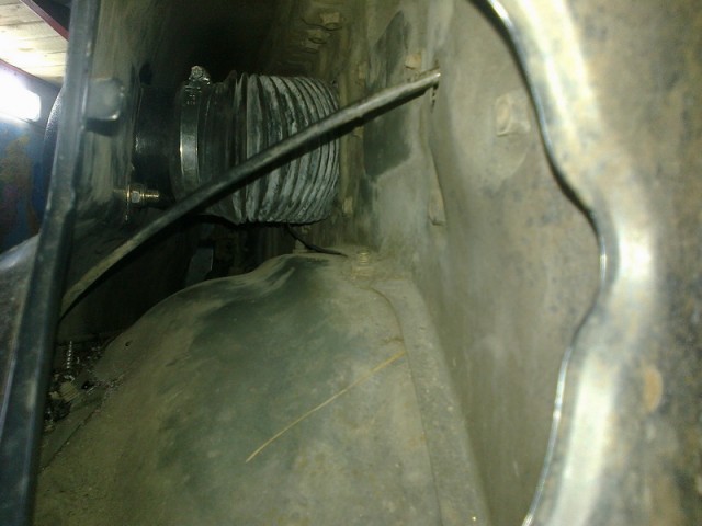 Котяра или На одну мечту меньше