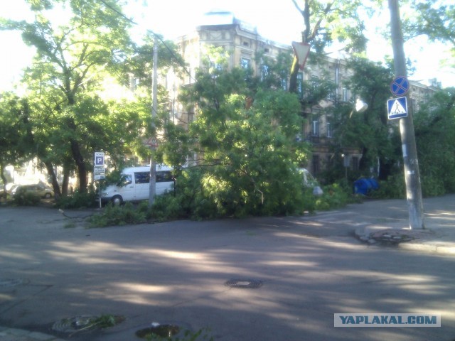 Ураган в Одессе