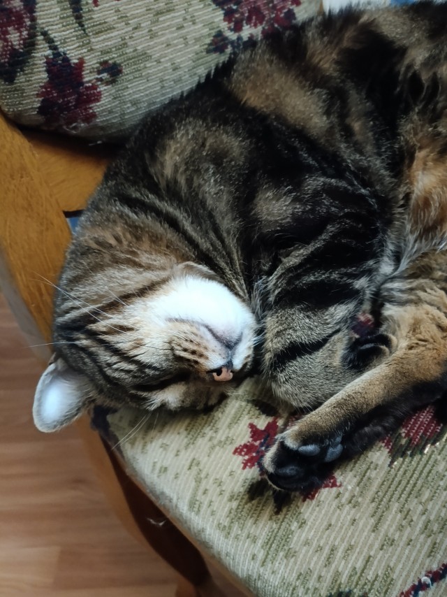 Блин. На меня пацан обиделся!