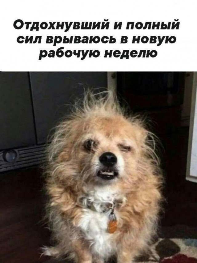 Картинки веселые