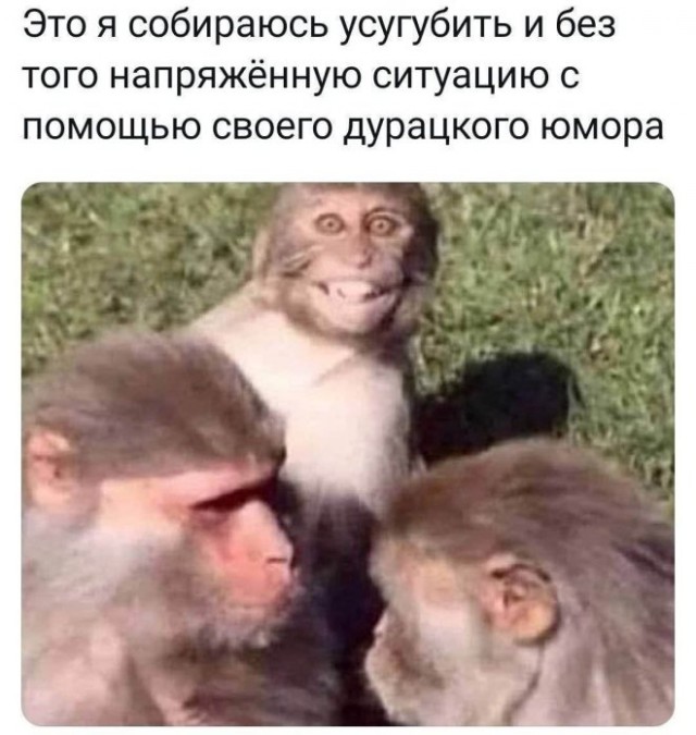 Так себе картинки 23.06.25