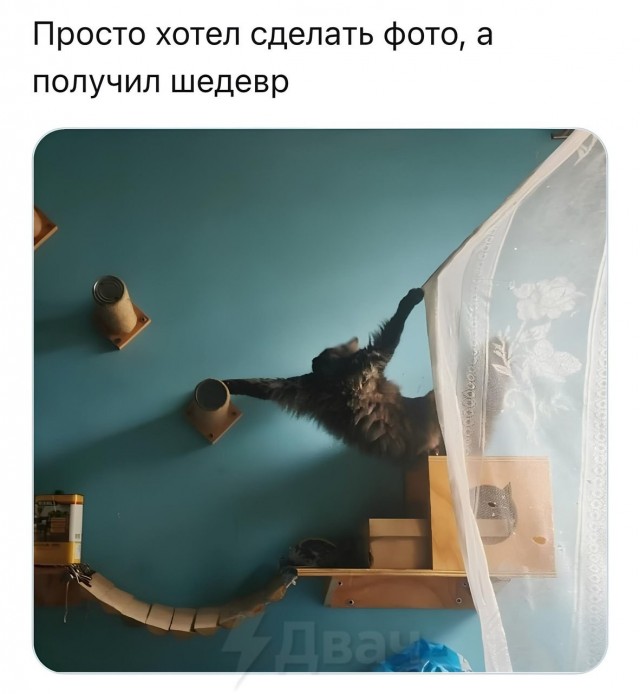 Шедевровое