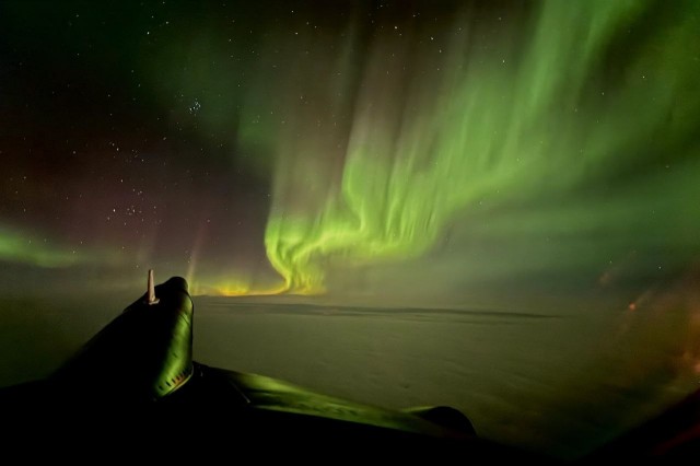 Медведь смотрит на северное сияние