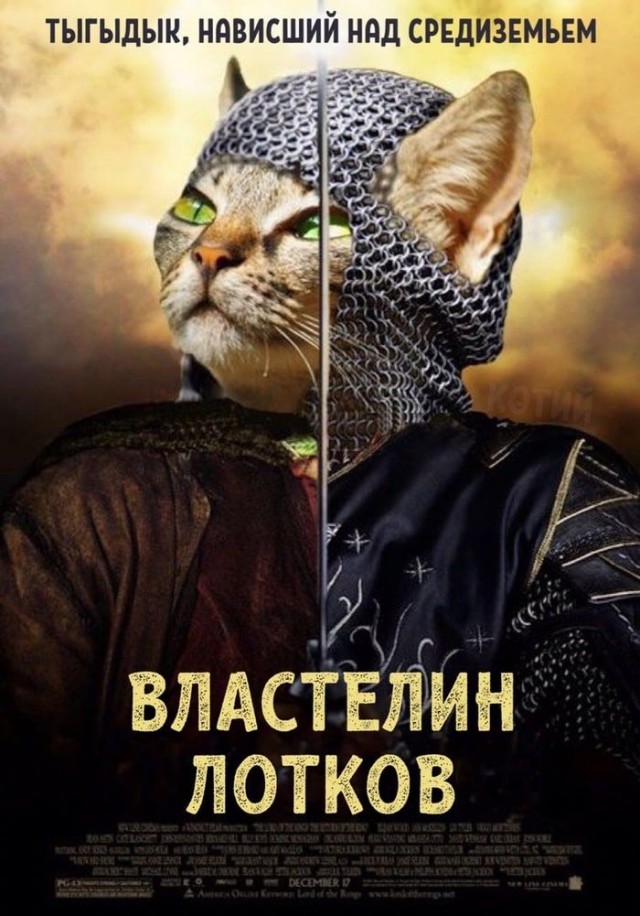 Прикольные и просто красивые картинки 18.11.2025