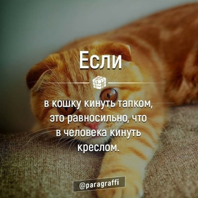 Куча сала 9
