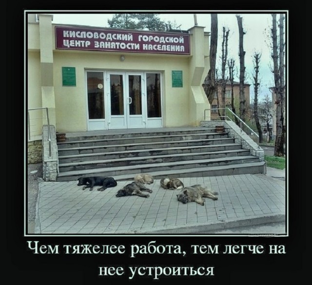 Так себе картинки 05.12.25