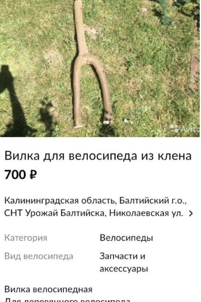 Воскресные картинки