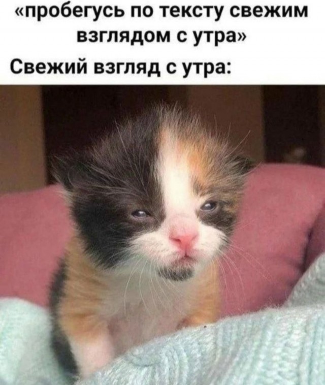 Среды картинки