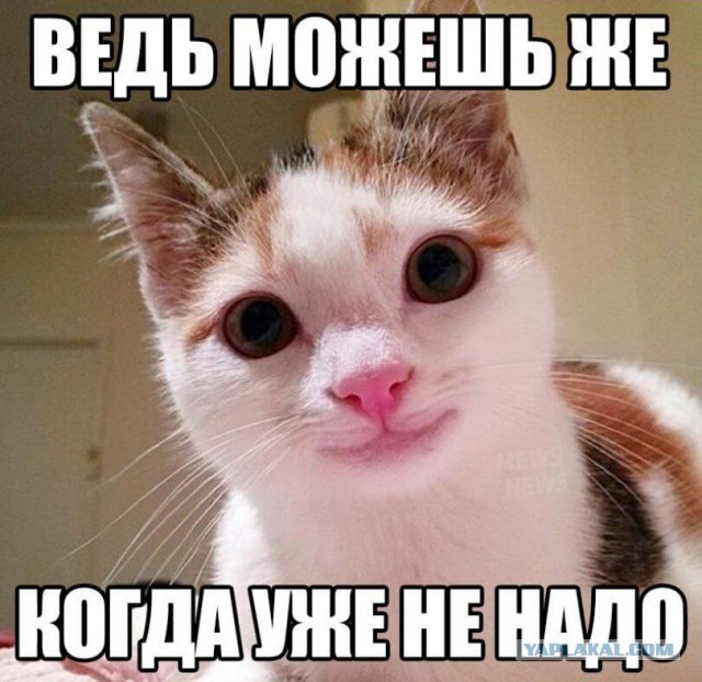 Картинки для деградации 137 (разной степени свежести)