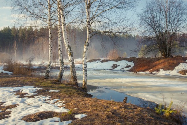 Начало весны в деревне
