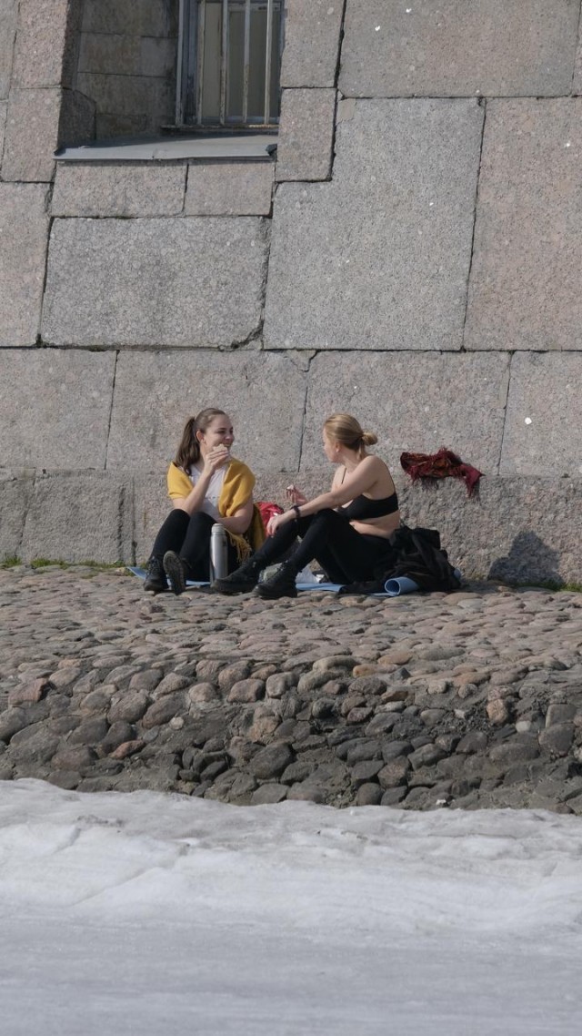 Подсолнухи Петропавловки