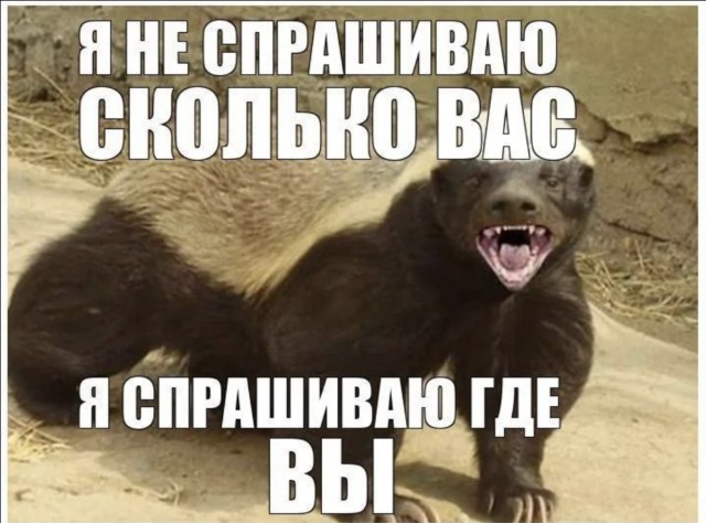 12-13 килограмм ярости. Башни нет, ему всё пофиг