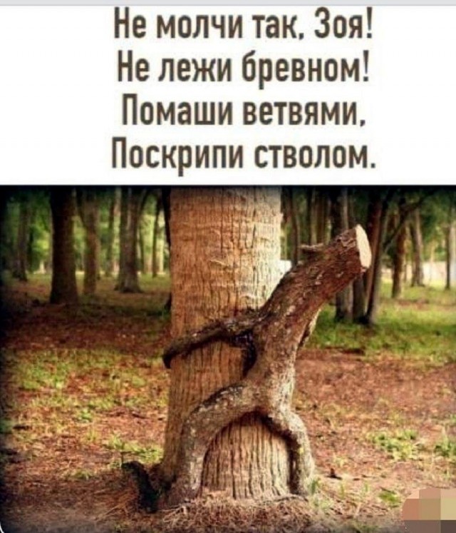 Так себе картинки 08.05.26