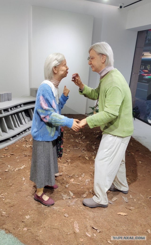 Китай+круиз по Японии