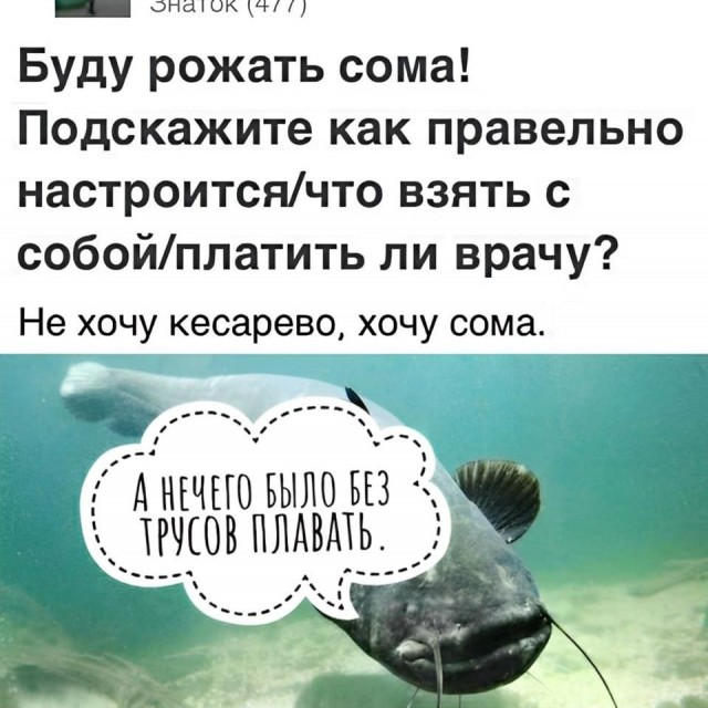 «Тест не понадобится»