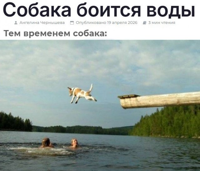 Подборка картинок к собакочетвергу