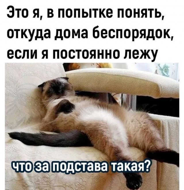 Картинки для деградации 306 (разной степени свежести)