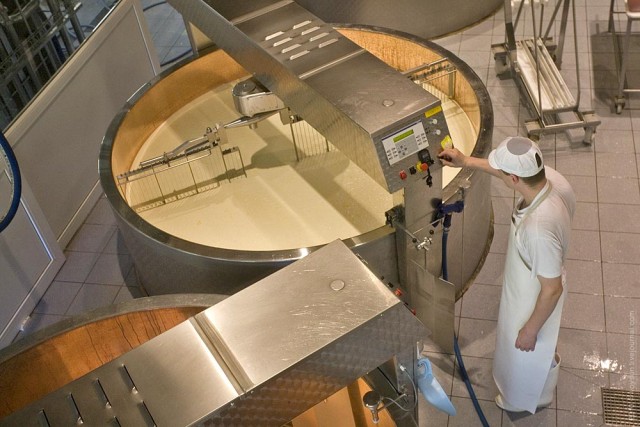 Груэр: где делают швейцарский сыр?