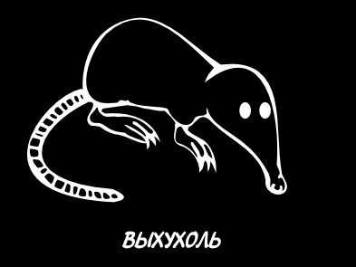 Классификация выхухолей