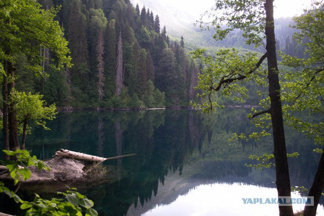 Великолепная Абхазия