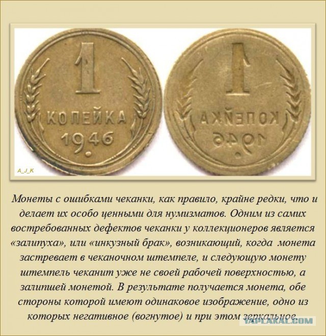 20 фактов обо всем