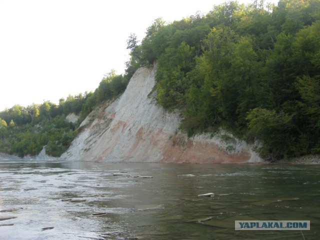 Глоток ярких красок весны и лета