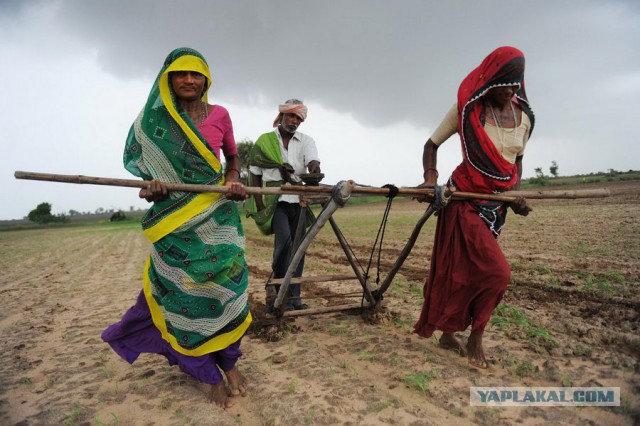 Вдруг война, а я уставший